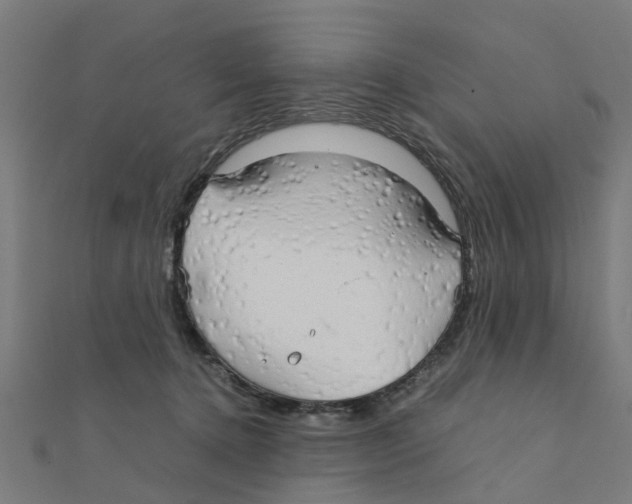 X0000111230368200907301251