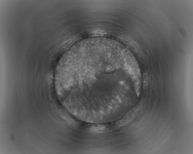 X0000111230369200907301251