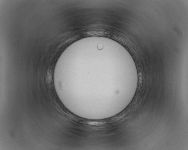 X0000111230371200907301251