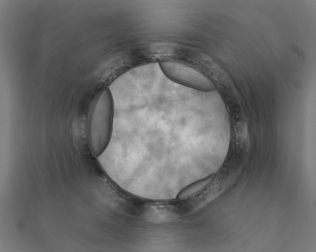 X0000111230372200907301251