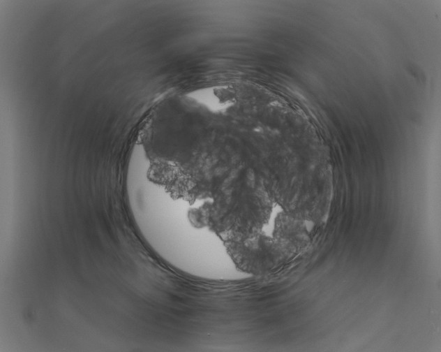 X0000111230374200907301251