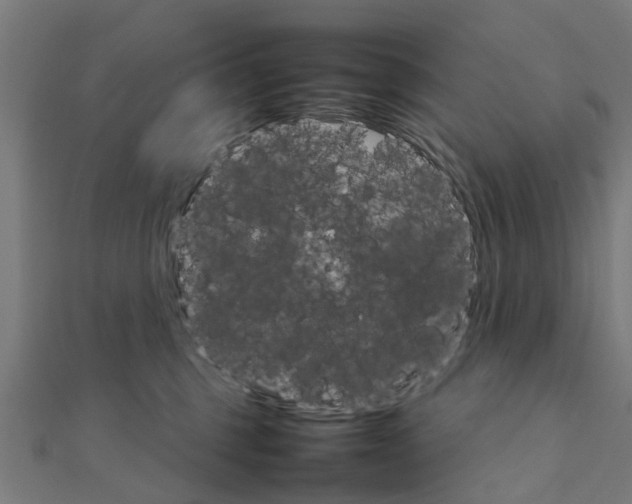X0000111230375200907301251