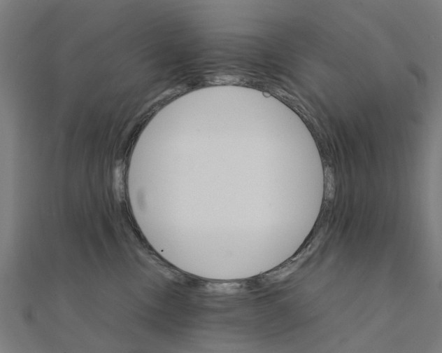 X0000111230378200907301251