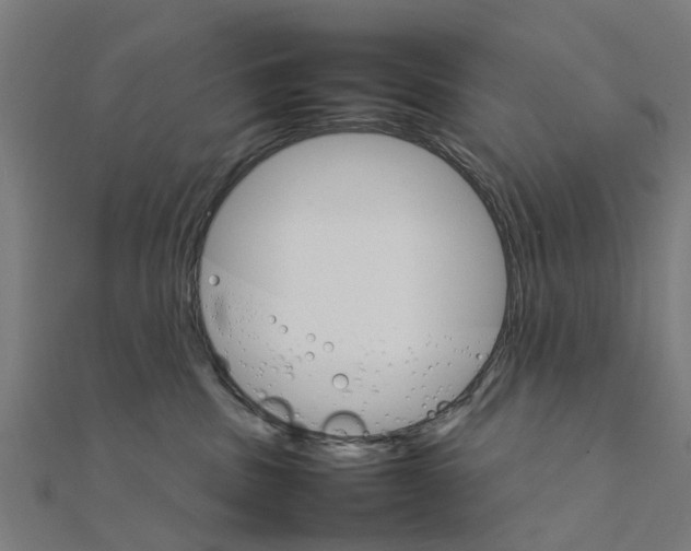 X0000111230379200907301251