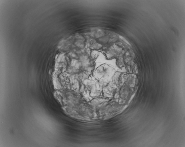 X0000111230381200907301251