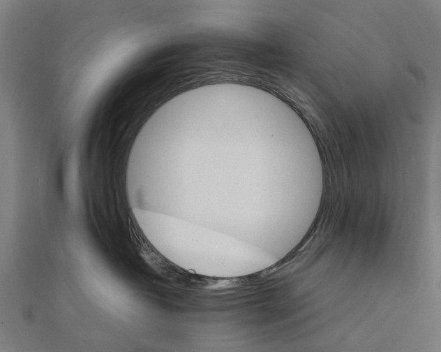 X0000111230382200907301251