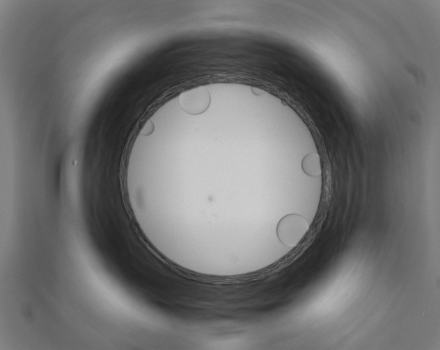 X0000111230383200907301251