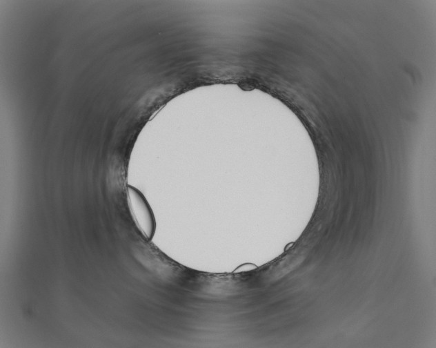 X0000111230384200907301251