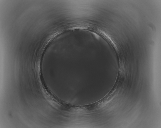 X0000111230386200907301250