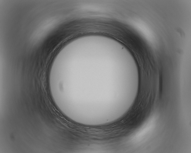 X0000111230387200907301250