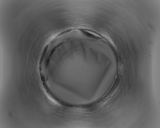 X0000111230389200907301250