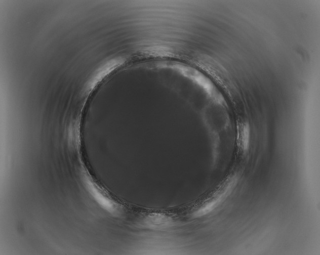 X0000111230390200907301250