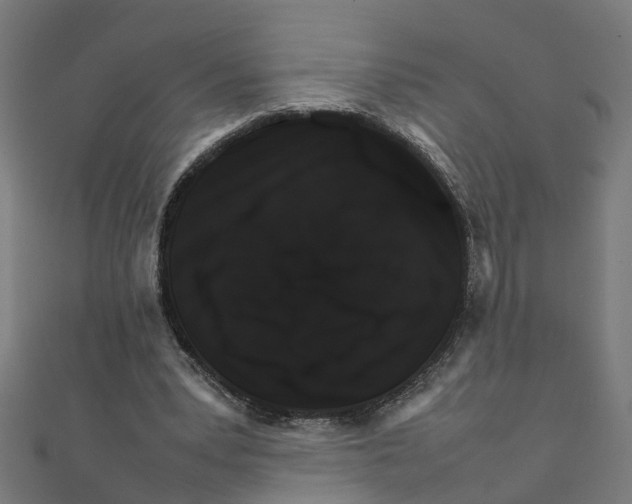 X0000111230391200907301250