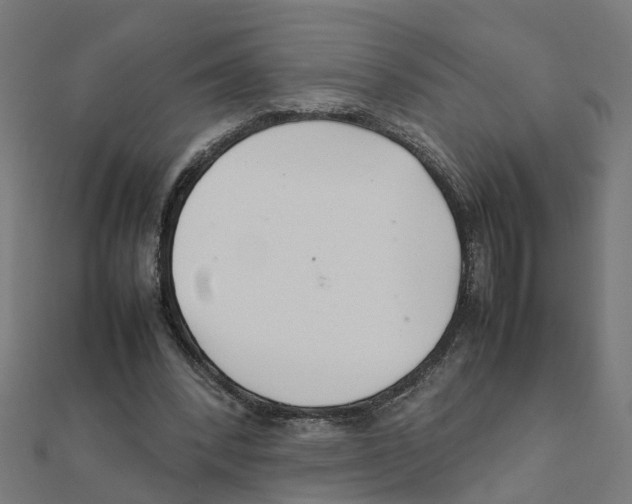 X0000111230392200907301250