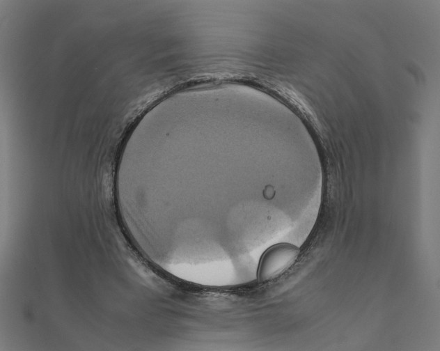 X0000111230393200907301250