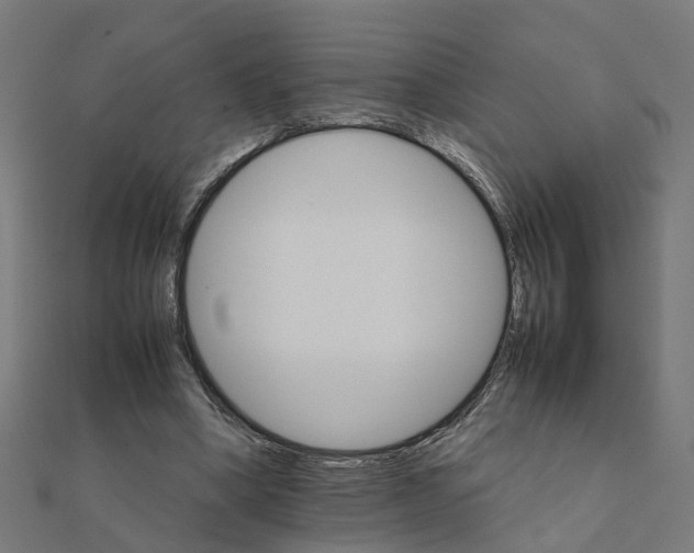X0000111230394200907301250