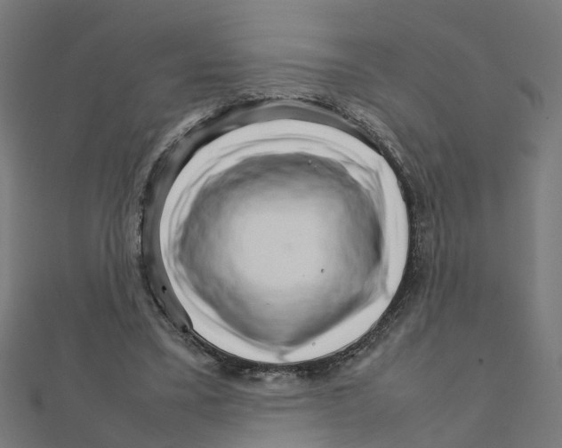 X0000111230395200907301250