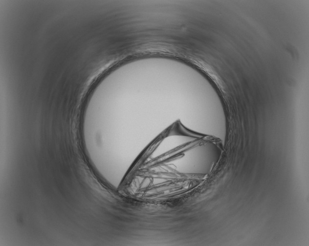 X0000111230399200907301250