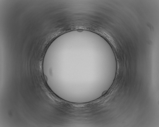 X0000111230401200907301250