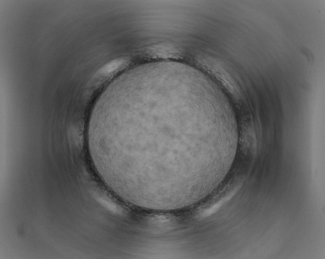 X0000111230402200907301250