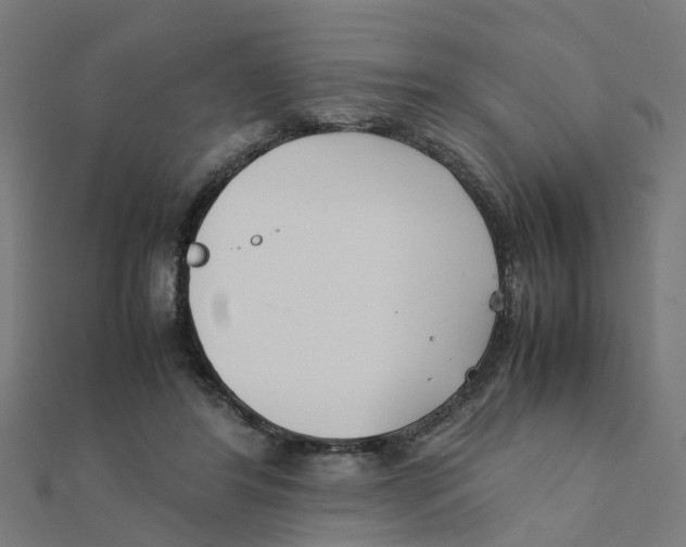 X0000111230404200907301250