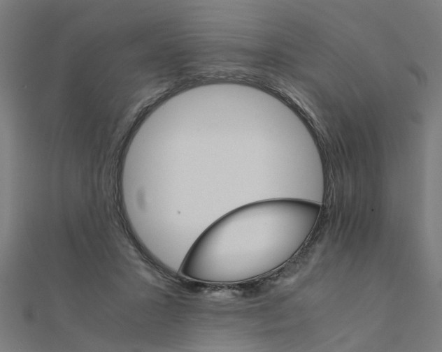 X0000111230407200907301250