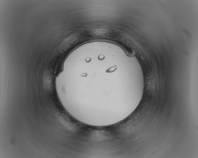 X0000111230408200907301250