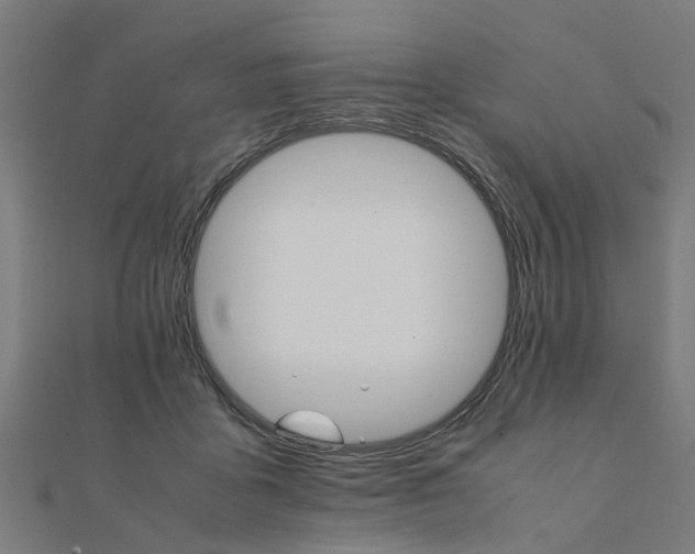 X0000111230411200907301250