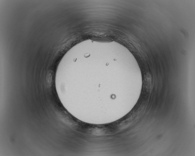 X0000111230412200907301250