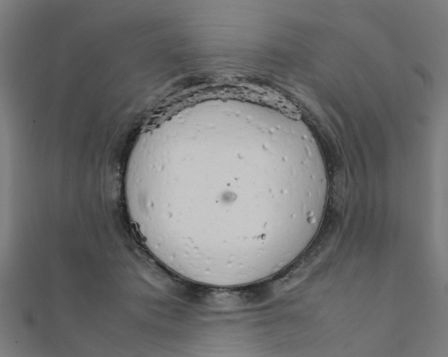 X0000111230413200907301250