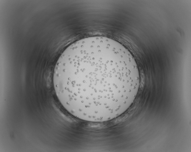 X0000111230414200907301250