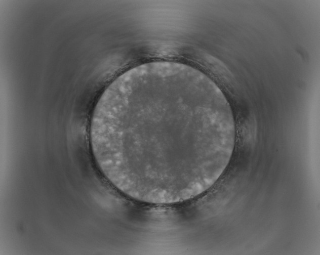 X0000111230415200907301250