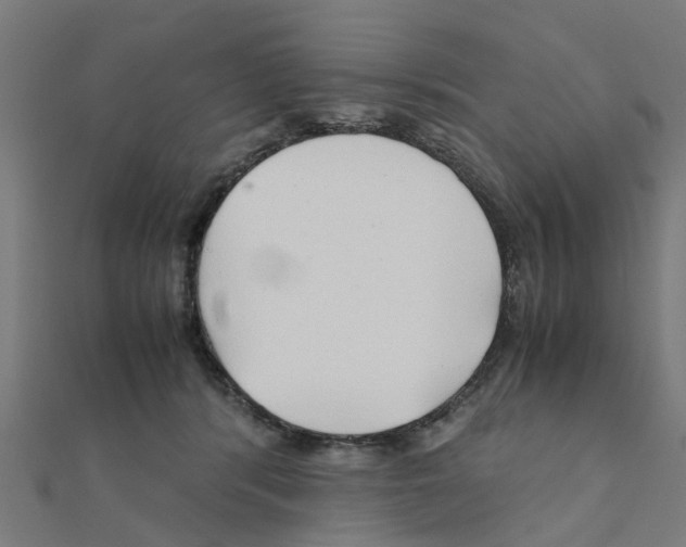 X0000111230416200907301250