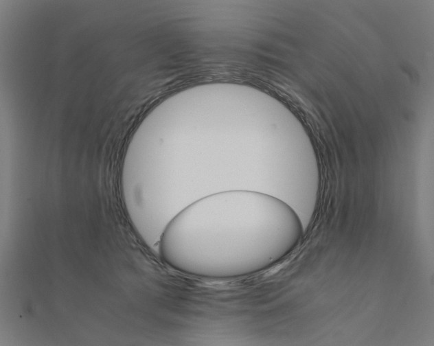 X0000111230417200907301250
