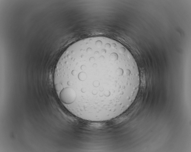 X0000111230418200907301250