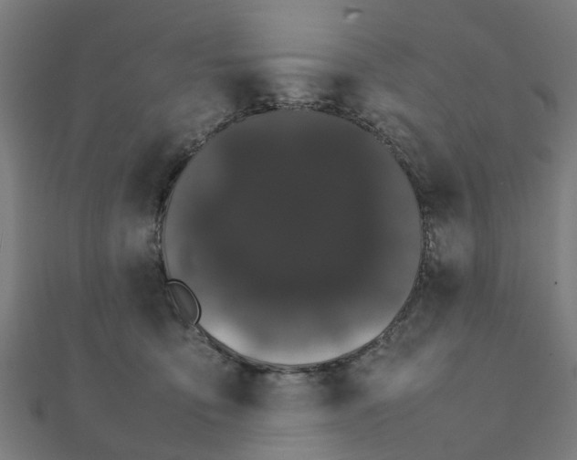 X0000111230419200907301250