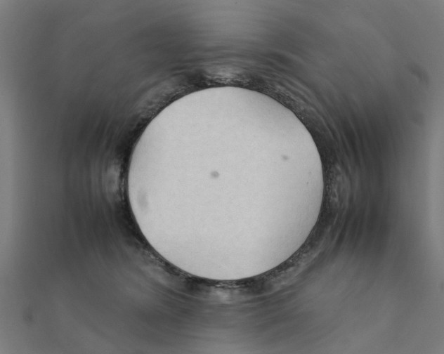 X0000111230420200907301250