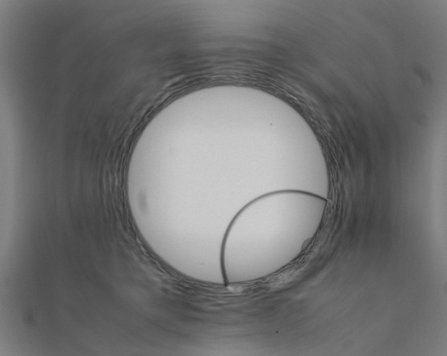 X0000111230421200907301250