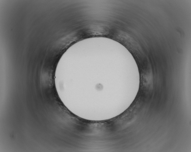 X0000111230422200907301250