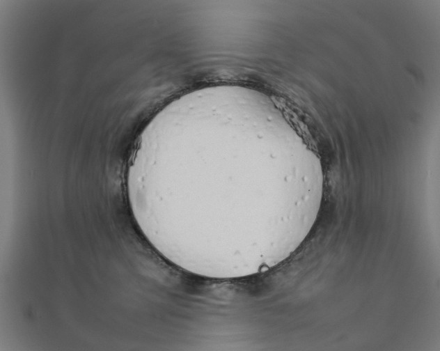 X0000111230423200907301250
