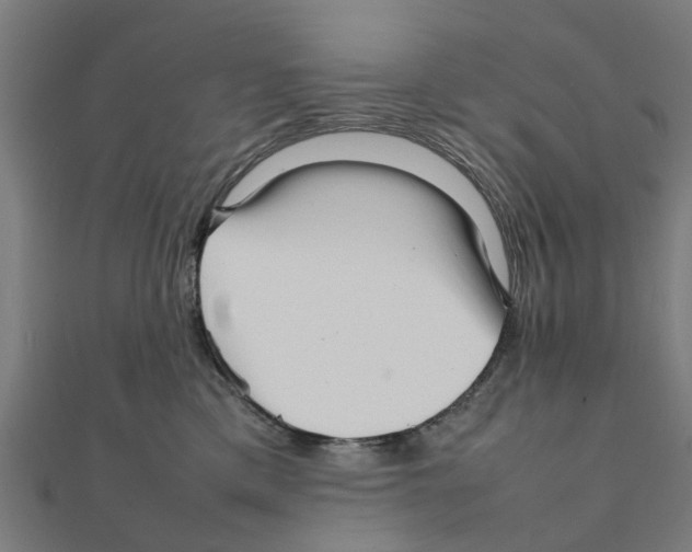 X0000111230425200907301250
