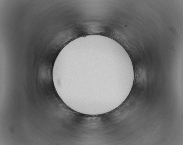 X0000111230426200907301250