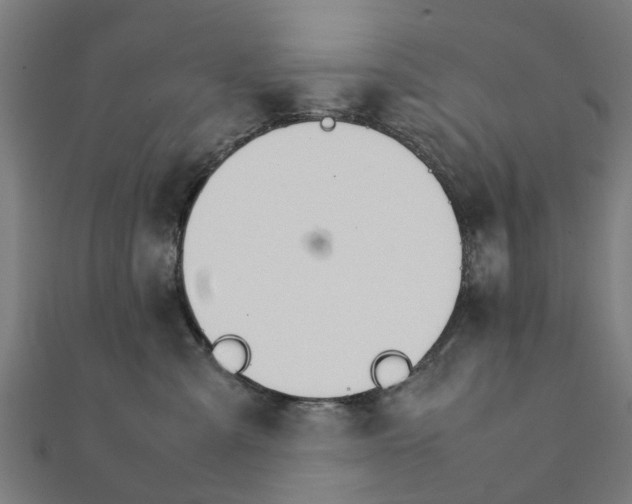 X0000111230427200907301250