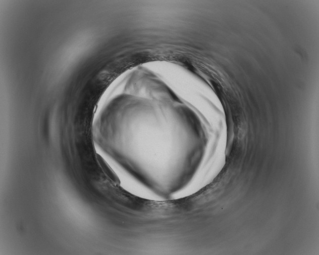 X0000111230429200907301250