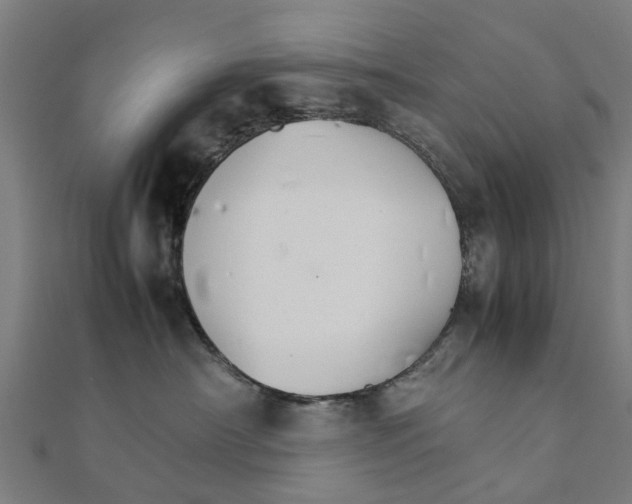X0000111230430200907301250