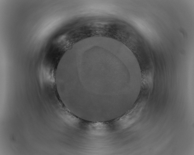 X0000111230431200907301250