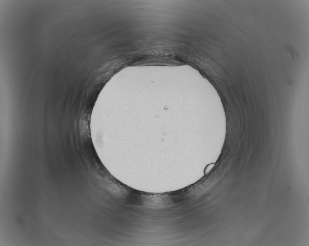 X0000111230432200907301250