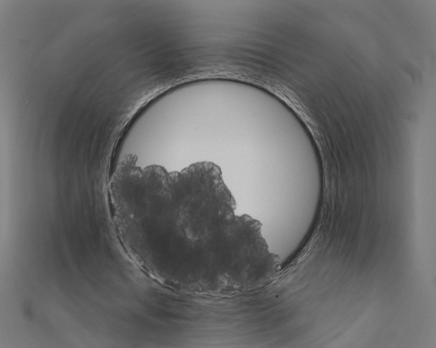 X0000111230434200907301249
