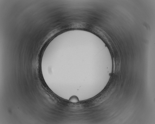 X0000111230435200907301249