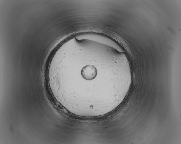 X0000111230436200907301249